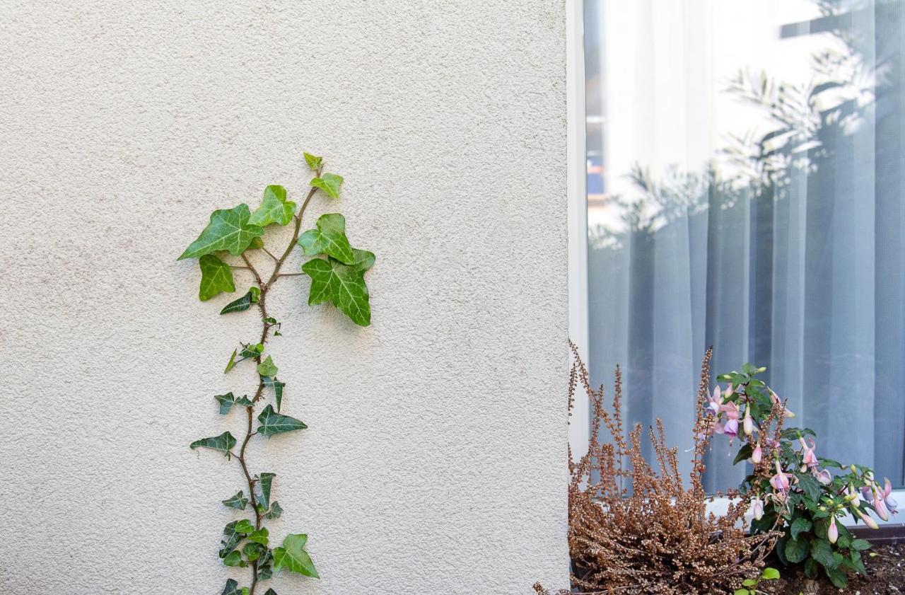 Green Oasis Apartment Viyana Dış mekan fotoğraf